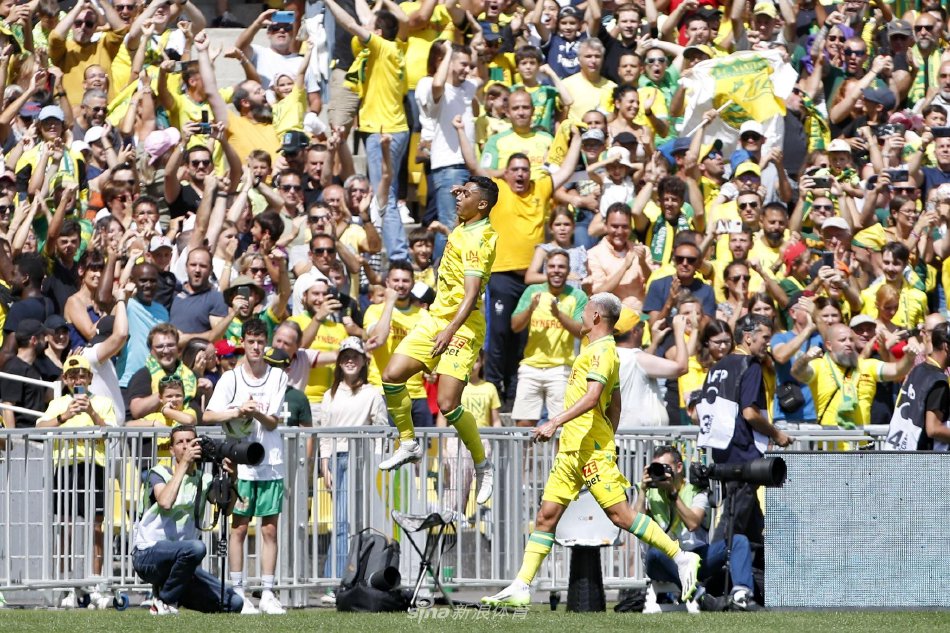 表现回应质 表现回应质